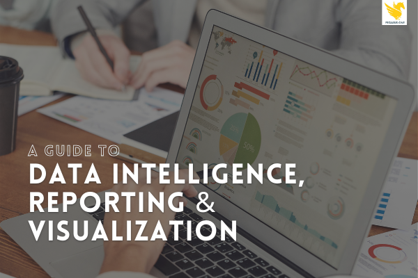 Data Intelligence, Reporting and Visualization