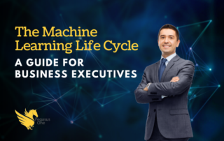 Machine learning for executives guide